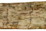 Canoe-Shaped Decorative Petrified Wood Bowl #350748-4